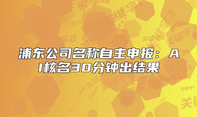 浦东公司名称自主申报:AI核名30分钟出结果