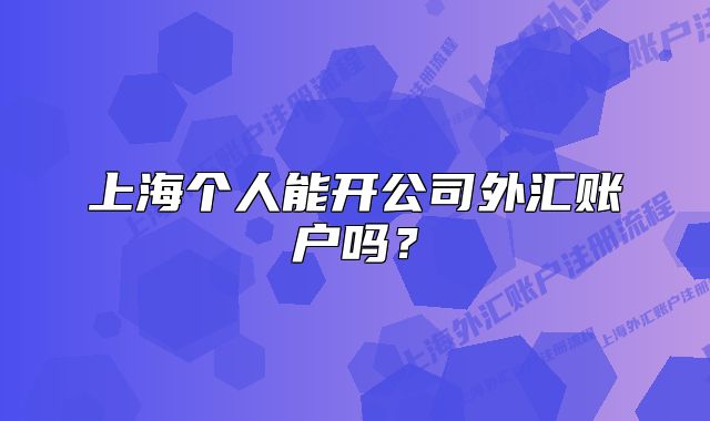 上海个人能开公司外汇账户吗?
