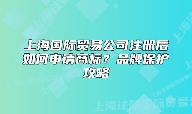 上海国际贸易公司注册后如何申请商标?品牌保护攻略