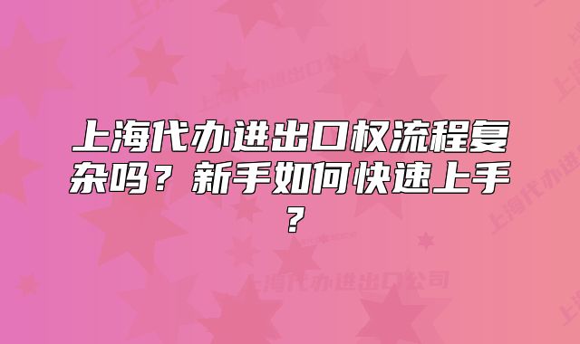 上海代办进出口权流程复杂吗?新手如何快速上手?