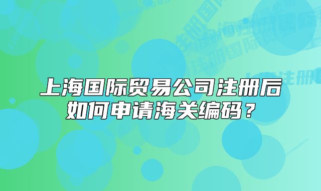 上海国际贸易公司注册后如何申请海关编码？