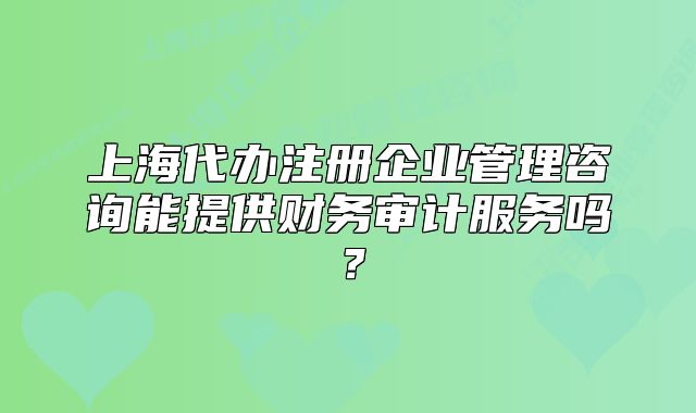 上海代办注册企业管理咨询能提供财务审计服务吗?