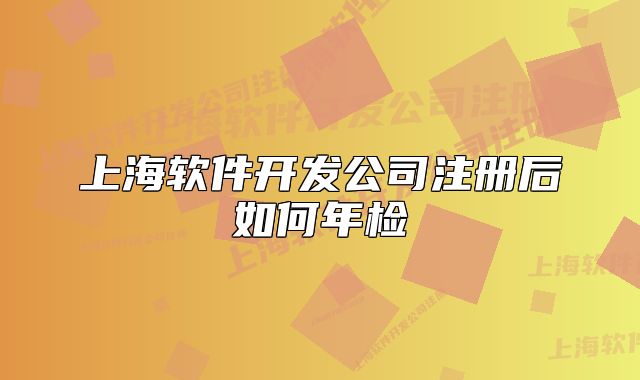 上海软件开发公司注册后如何年检