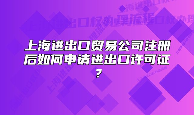 上海进出口贸易公司注册后如何申请进出口许可证?