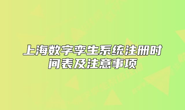上海数字孪生系统注册时间表及注意事项