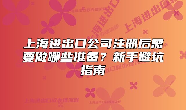 上海进出口公司注册后需要做哪些准备?新手避坑指南