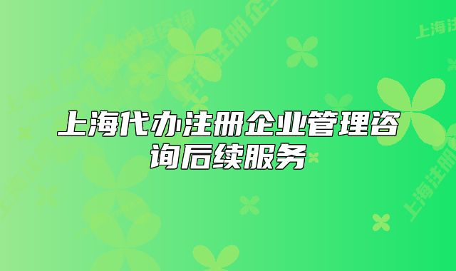 上海代办注册企业管理咨询后续服务