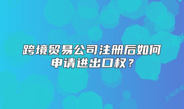 跨境贸易公司注册后如何申请进出口权？