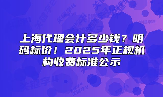 上海代理会计多少钱?明码标价!2025年正规机构收费标准公示