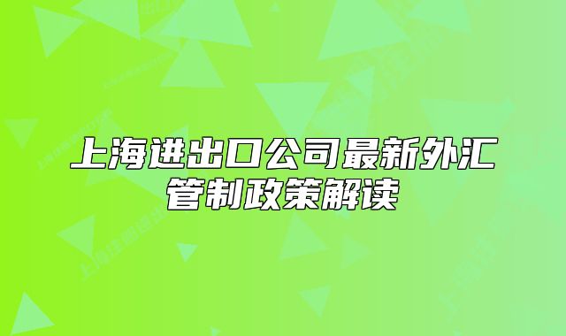 上海进出口公司最新外汇管制政策解读