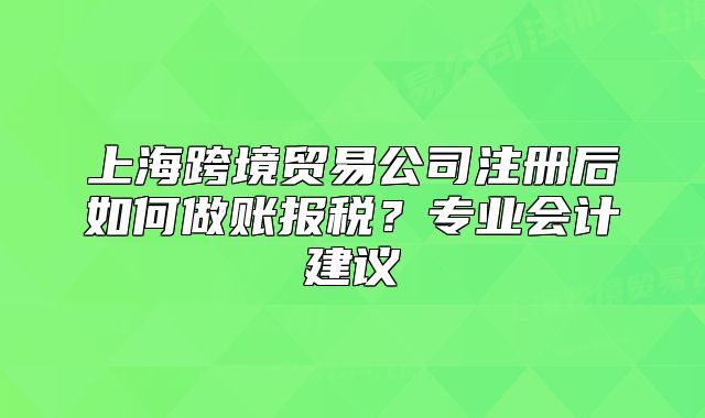 上海跨境贸易公司注册后如何做账报税?专业会计建议