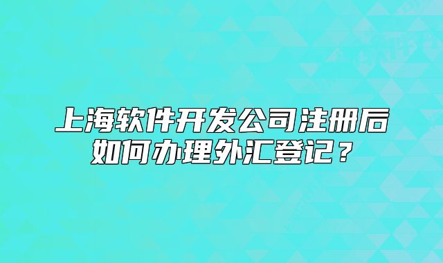 上海软件开发公司注册后如何办理外汇登记?