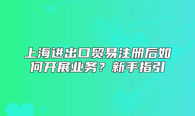 上海进出口贸易注册后如何开展业务?新手指引
