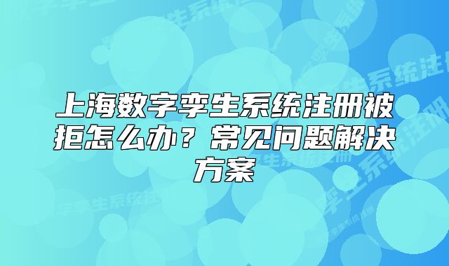 上海数字孪生系统注册被拒怎么办?常见问题解决方案
