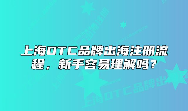 上海DTC品牌出海注册流程,新手容易理解吗?
