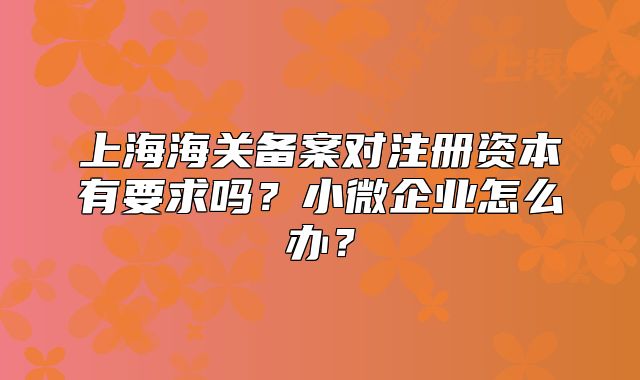 上海海关备案对注册资本有要求吗？小微企业怎么办？