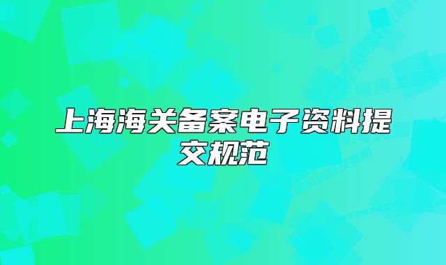 上海海关备案电子资料提交规范