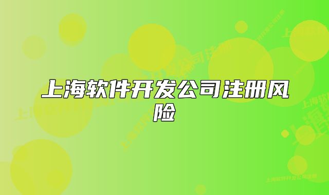 上海软件开发公司注册风险