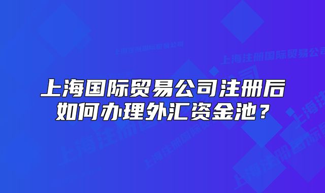 上海国际贸易公司注册后如何办理外汇资金池?