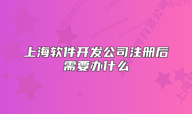 上海软件开发公司注册后需要办什么