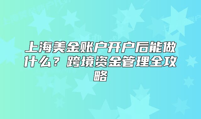 上海美金账户开户后能做什么？跨境资金管理全攻略