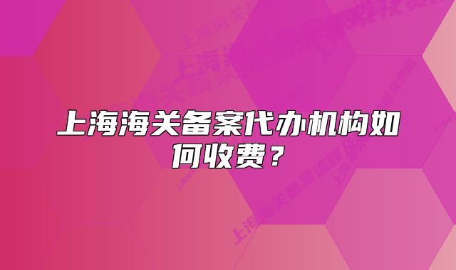 上海海关备案代办机构如何收费?