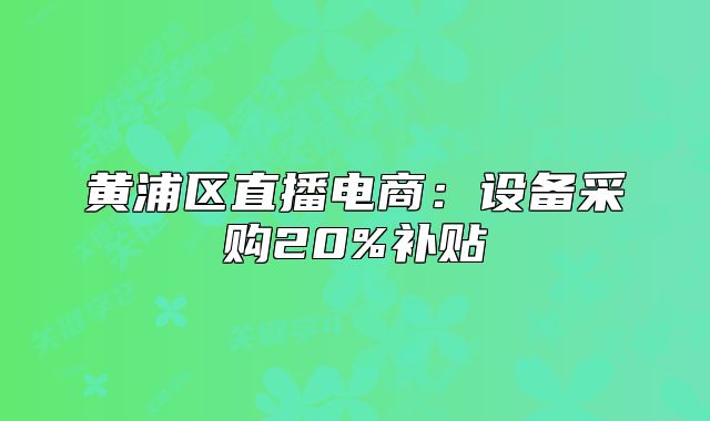 黄浦区直播电商:设备采购20%补贴