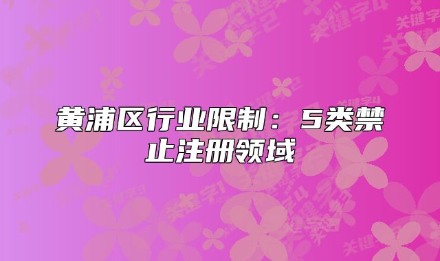 黄浦区行业限制：5类禁止注册领域