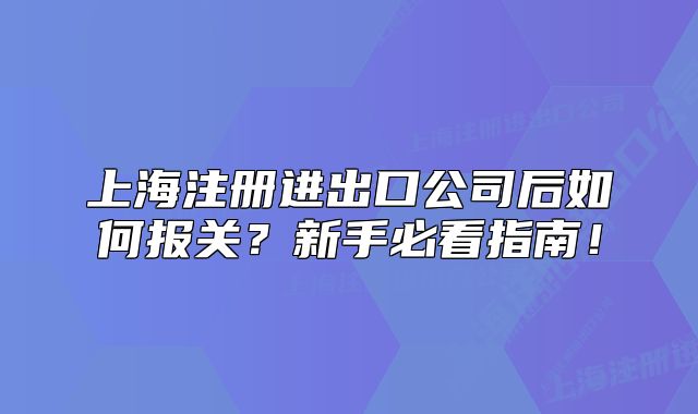 上海注册进出口公司后如何报关?新手必看指南!