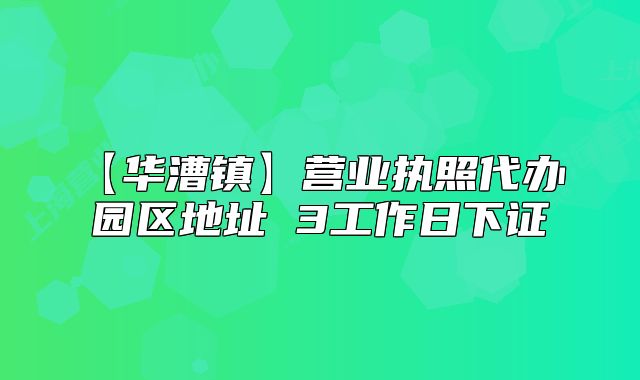 【华漕镇】营业执照代办 园区地址 3工作日下证