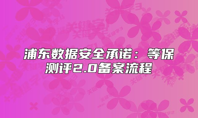 浦东数据安全承诺：等保测评2.0备案流程
