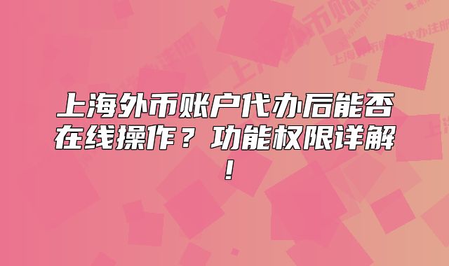 上海外币账户代办后能否在线操作？功能权限详解！