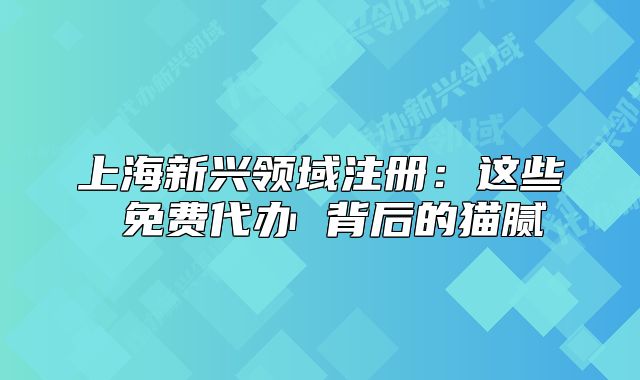 上海新兴领域注册:这些 免费代办 背后的猫腻