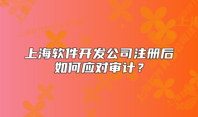 上海软件开发公司注册后如何应对审计?