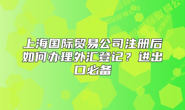 上海国际贸易公司注册后如何办理外汇登记?进出口必备