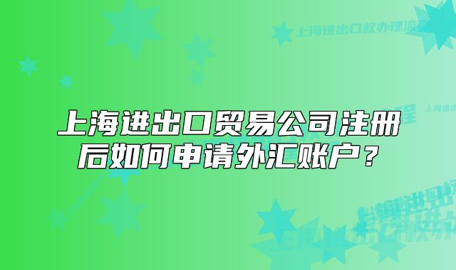 上海进出口贸易公司注册后如何申请外汇账户?