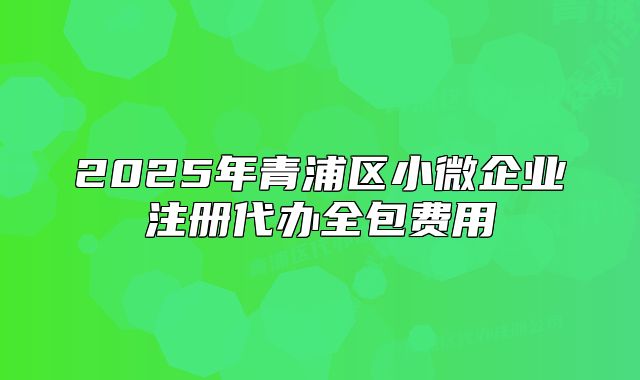 2025年青浦区小微企业注册代办全包费用