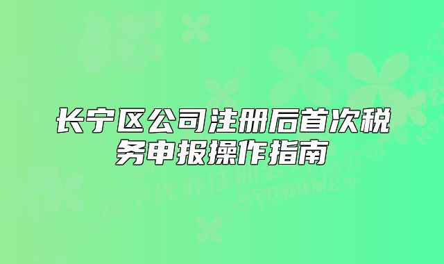 长宁区公司注册后首次税务申报操作指南