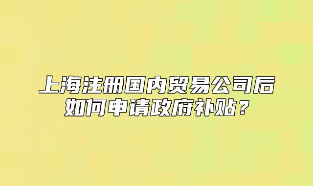 上海注册国内贸易公司后如何申请政府补贴?