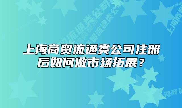 上海商贸流通类公司注册后如何做市场拓展？