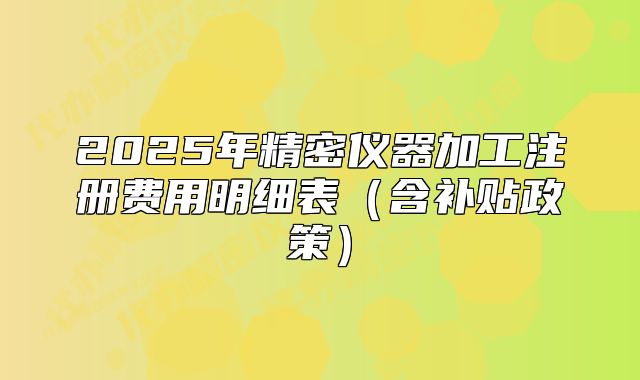2025年精密仪器加工注册费用明细表（含补贴政策）