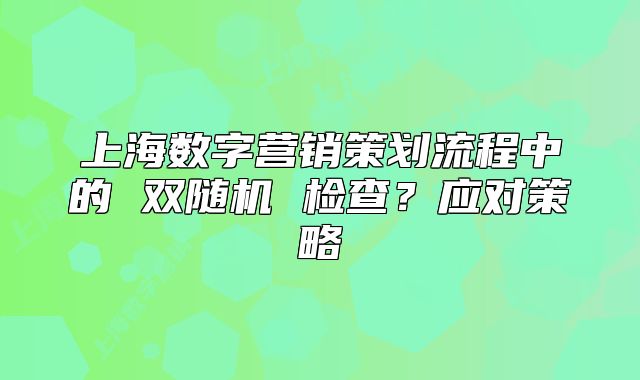 上海数字营销策划流程中的 双随机 检查？应对策略