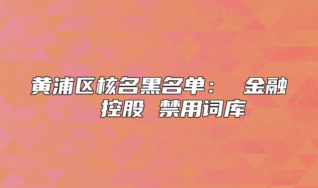 黄浦区核名黑名单： 金融  控股 禁用词库