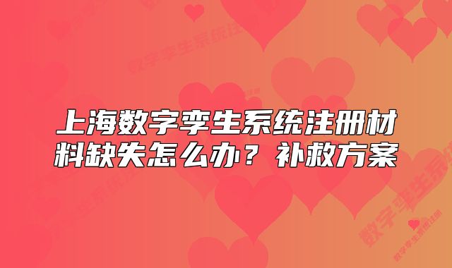 上海数字孪生系统注册材料缺失怎么办?补救方案