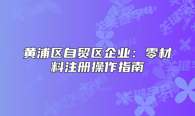 黄浦区自贸区企业:零材料注册操作指南
