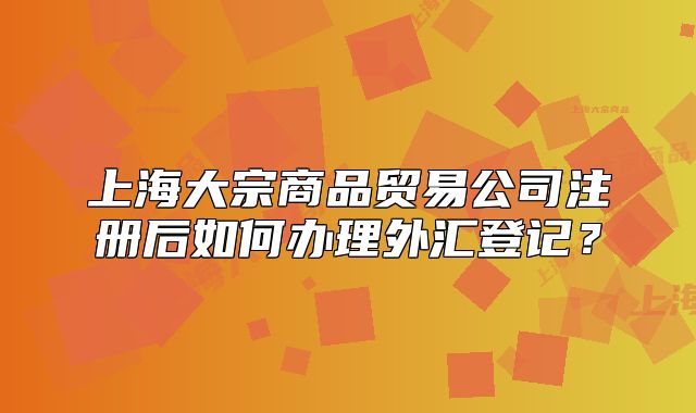 上海大宗商品贸易公司注册后如何办理外汇登记?
