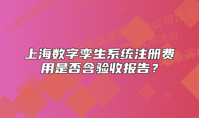 上海数字孪生系统注册费用是否含验收报告?