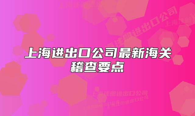 上海进出口公司最新海关稽查要点