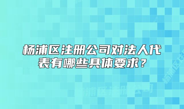 杨浦区注册公司对法人代表有哪些具体要求?