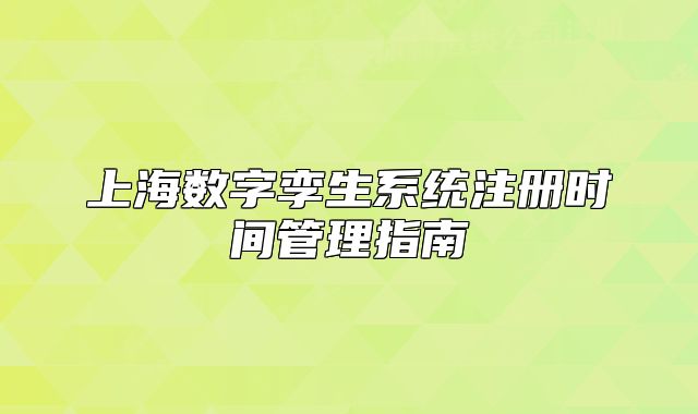 上海数字孪生系统注册时间管理指南